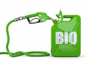 biofuels-1